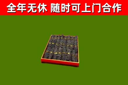 开化县回收海参